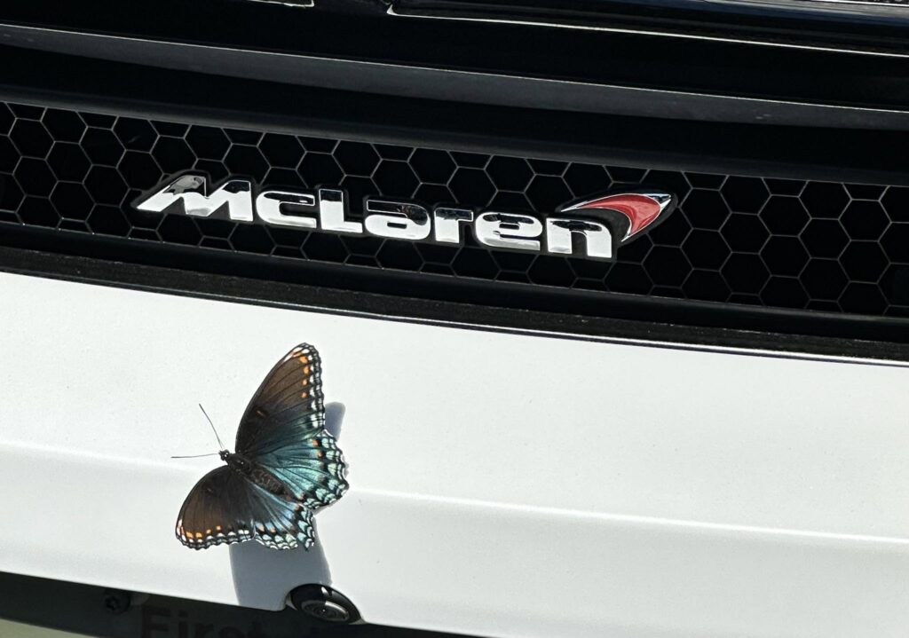 Mclaren 720s with butterfly, picture taken in Lake Norman near Charlotte.